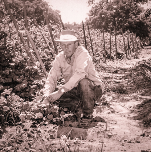 Oliver Talley works in a field on his property. (Courtesy Talley Vineyards)